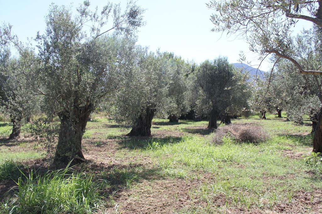 Karya Leilighet Pétra Rom bilde